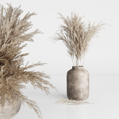 Dried Pampas Plant 02