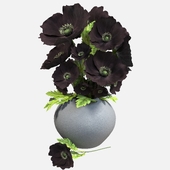 Black poppies in a vase