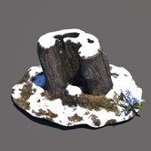 Spring stump and woods