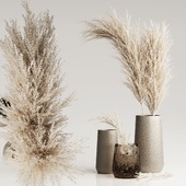 Dried Pampas Plant in Vases