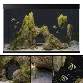 Aquarium with rocks and moss