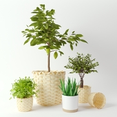 KAFFEBÖNA Plant Pot by IKEA