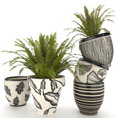 fern in vase 01 - indoor plant