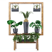 wooden stand of plants collection