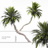 Palm Tree Beach 01