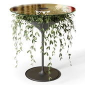 Round glass coffee table with plant Pei-Ju Wu