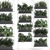 Vertical gardening of the home garden on a black flower shelf with a Monstera, a phytosten, a phytomodule. Set of 64