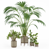 indoor plant set 002