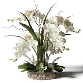 Белые орхидеи в стеклянной вазе с камнями