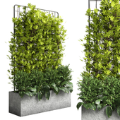 Lvy Parttion Wall Vertical Garden Set 01