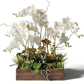 White orchids and succulents in a rectangular planter