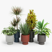 Bishop Indoor / Outdoor Pedestal Planters
