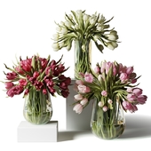 Red, pink and white tulips in glass vases
