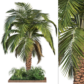 Garden Set Vol1 - Palm Tree and Bush