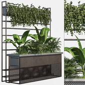 Outdoor Plant in Metal Shelf - Vol1
