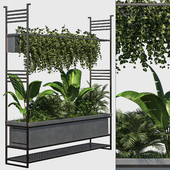 Outdoor Plant in Metal Shelf - Vol2