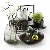Decorative vases with plants