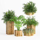 plants set 005_wooden pots