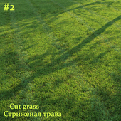 Cut grass #2
