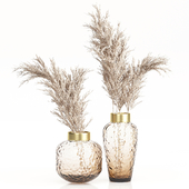 Dried Plants in Zara Home Glass Vases