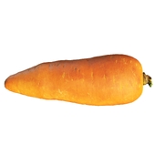 4k carrot