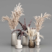 Dried Plant Bouquets in Vases 2