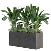 Outdoor Plants in Concrete Pot -Set 183