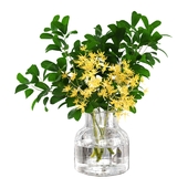 Forsythia bouquet