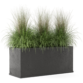 Outdoor Plants Bush in rusty Concrete Pot - Set 187