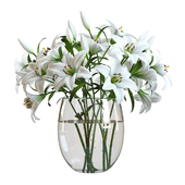Flower Set 01 / White Lilies