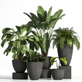 indoor plant set04