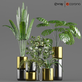 Indoor Flower Pot Set 5 Plant