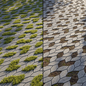 Eco-paving Type 1 Pattern 6