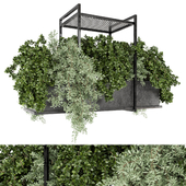 Indoor Hanging Plants in Metal Box - Set 202