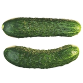 4k Cucumber
