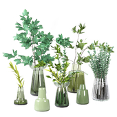 Green Bouquet and Branches in Vases