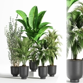 Indoor Set Plant 07
