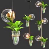 Pendant lamp with plants
