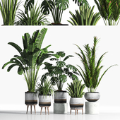indoor plant set05