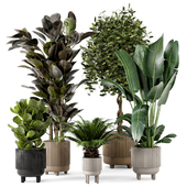 Indoor Plants in Standing Legs Small Bowl Concrete Pot - Set 212