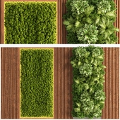 Wooden Planks Vertical Garden and Mosswalls