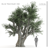 Olive Tree-AR studio-Vol 01-02