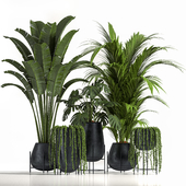 indoor plant set06