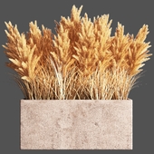 Indoor Plant Set 55 Pampas