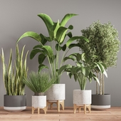 indoor plant stand 27