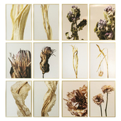 Dry flowers posters