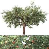 tree for landscape 22 ( apple tree )