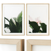 Floral posters