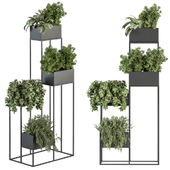 indoor Plant Set 284 - Plant Box Set