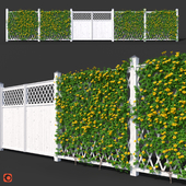 Забор - Мандевилла Сандера с желтыми цветами Corona